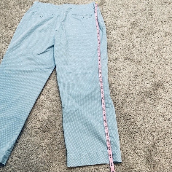 Talbots Classic Side Zip Light Blue and White Patterned Pants Size 10 - Picture 4 of 11